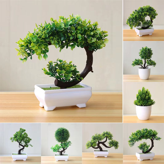 Bonsai Small Tree , 8 Variants