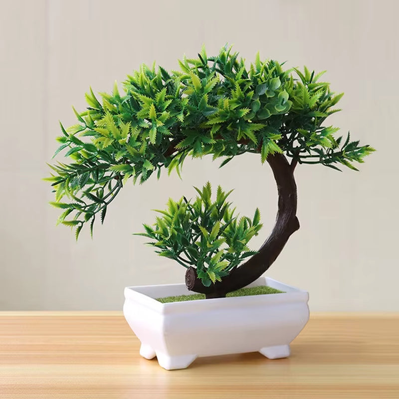 Bonsai Small Tree , 8 Variants