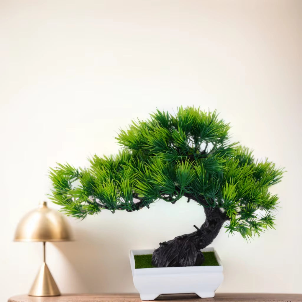 Bonsai Small Tree , 8 Variants