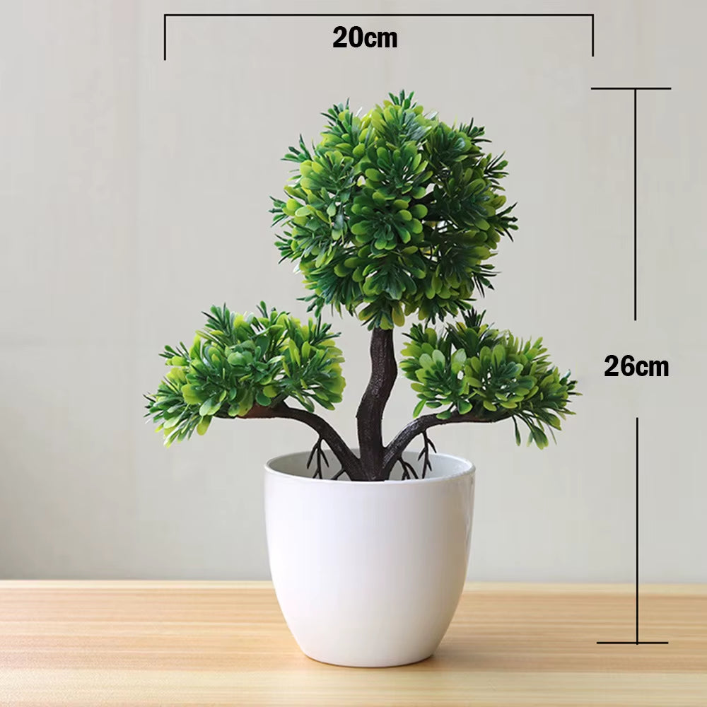 Bonsai Small Tree , 8 Variants