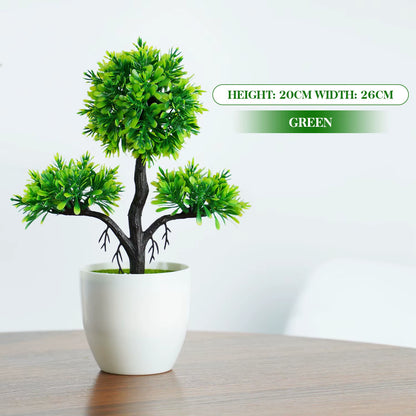 Bonsai Small Tree , 8 Variants