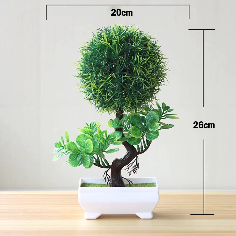 Bonsai Small Tree , 8 Variants