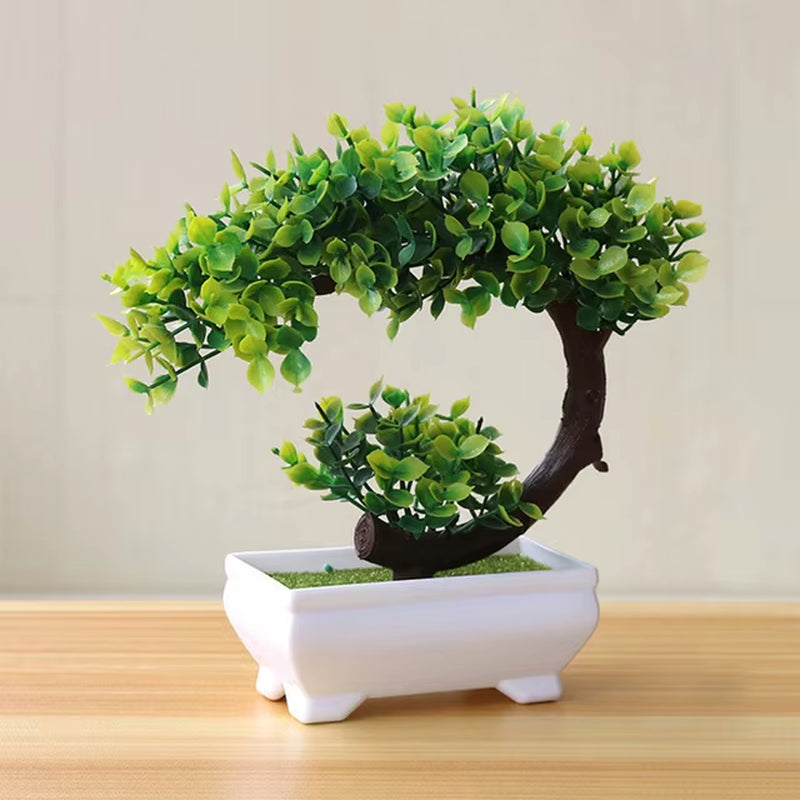 Bonsai Small Tree , 8 Variants