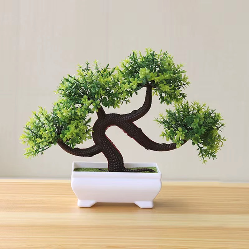 Bonsai Small Tree , 8 Variants