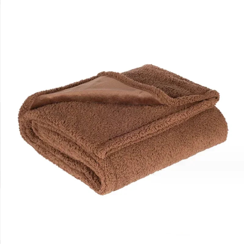 Luxury Shaggy Blanket – Warm, Cozy, Waterproof, Thickened Microfiber for Winter & Couples