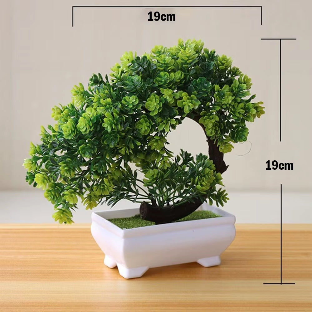 Bonsai Small Tree , 8 Variants